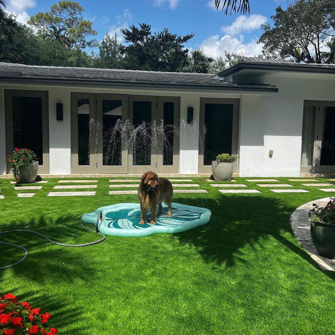 artificial pet turf installation miami shores fl
