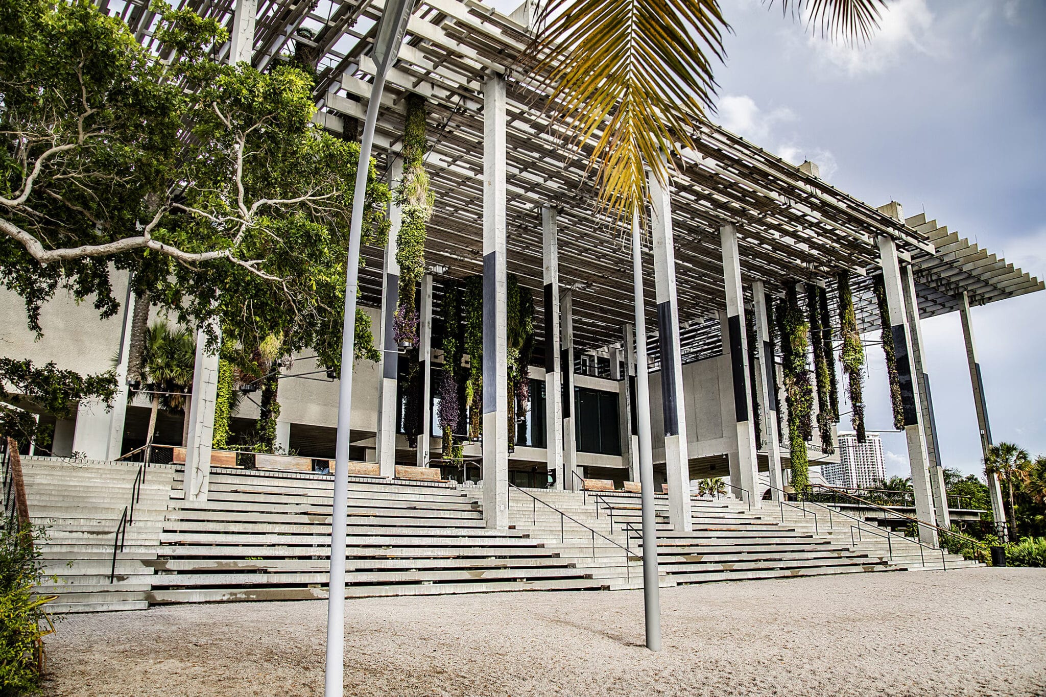 PAMMBeach Steps View by Lazaro Llanes